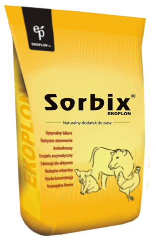 9cc358a6a0296180dc2478871054e098