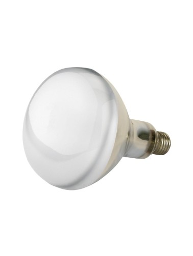 f59f0d0f16499034e0c988a859c2475b