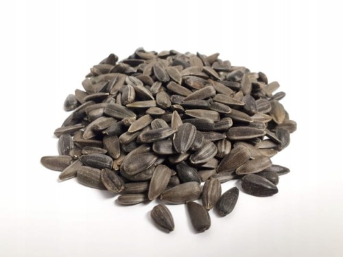 fcb51e4fa7173bb20774d17d187184e3