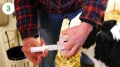 AHV RECO PASTE 1