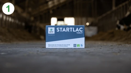 AHV-Website-How_To-1-StartLac_Tablet-1920x1080-1-1024x576.png
