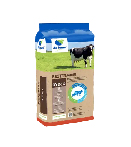 bestermine de heus.webp