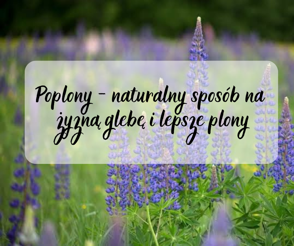 Poplony – naturalny sposób na żyzną glebę i lepsze plony
